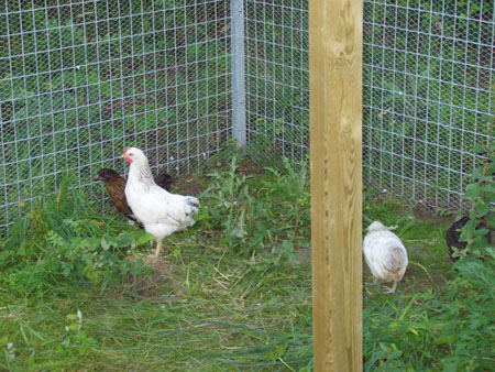 050809 ute första gången