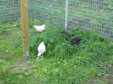 050809 ute på basen