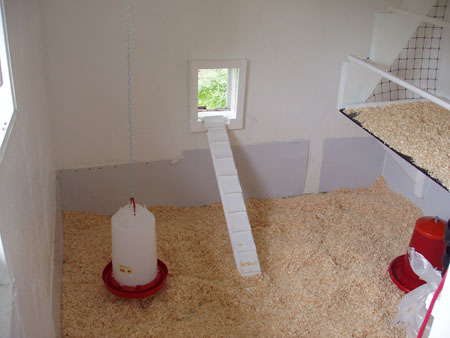 Gissningstävling. Var är hönsen