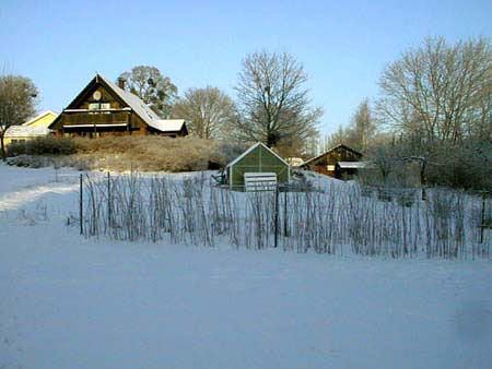 Hela trädgården